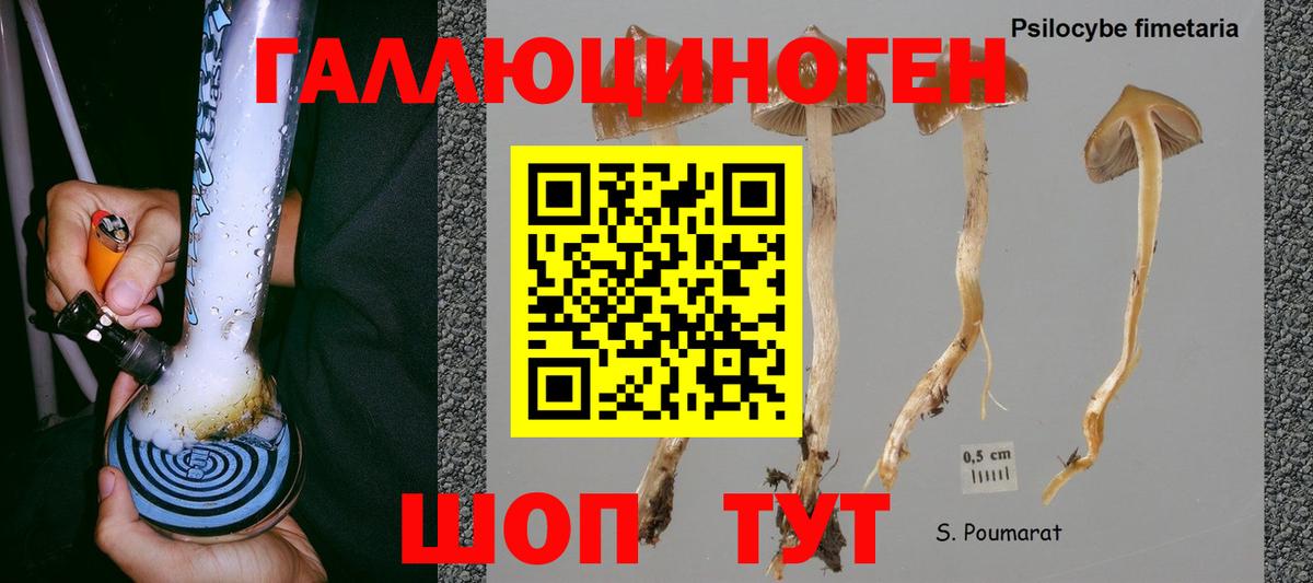 Псилоцибиновые грибы прущие грибы Гай