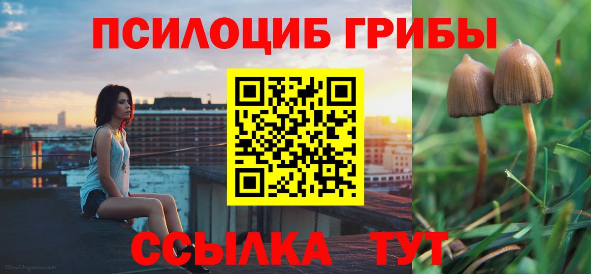 Галлюциногенные грибы Magic Shrooms  Псилоцибиновые грибы Psilocybine cubensis  Гай  Вход с VPN 